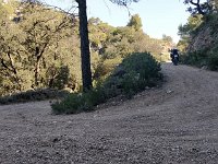 Imatge de WhatsApp 2024-04-14 a les 12.06.34 79f42f69